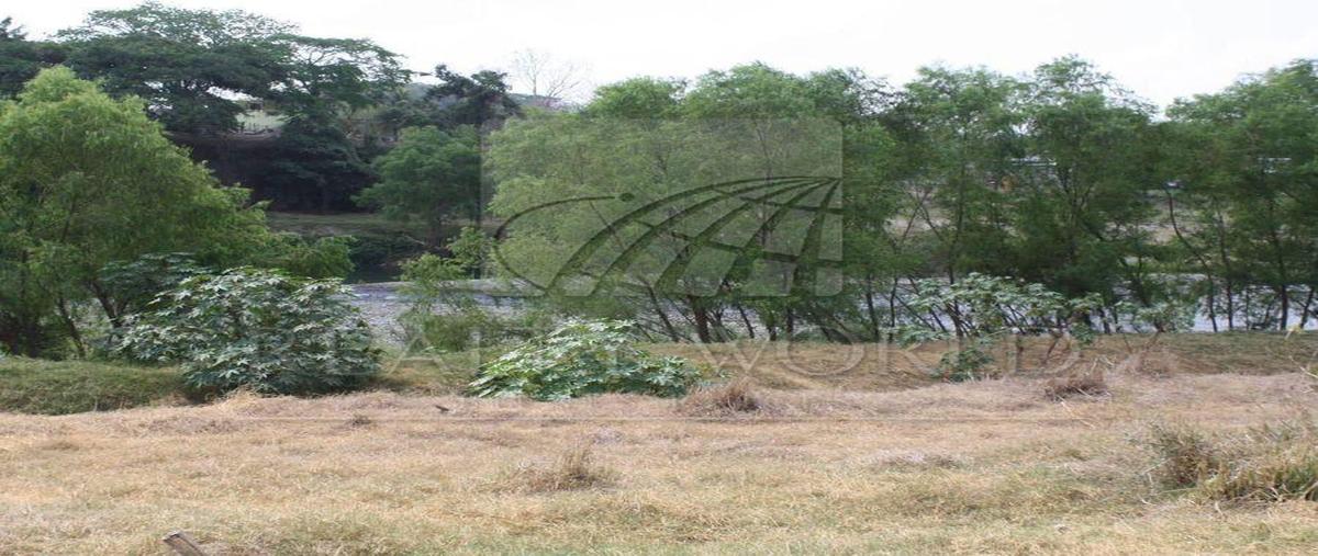 Foto de terreno habitacional en venta en  , cotaxtla, cotaxtla, veracruz de ignacio de la llave, 31026484 No. 05