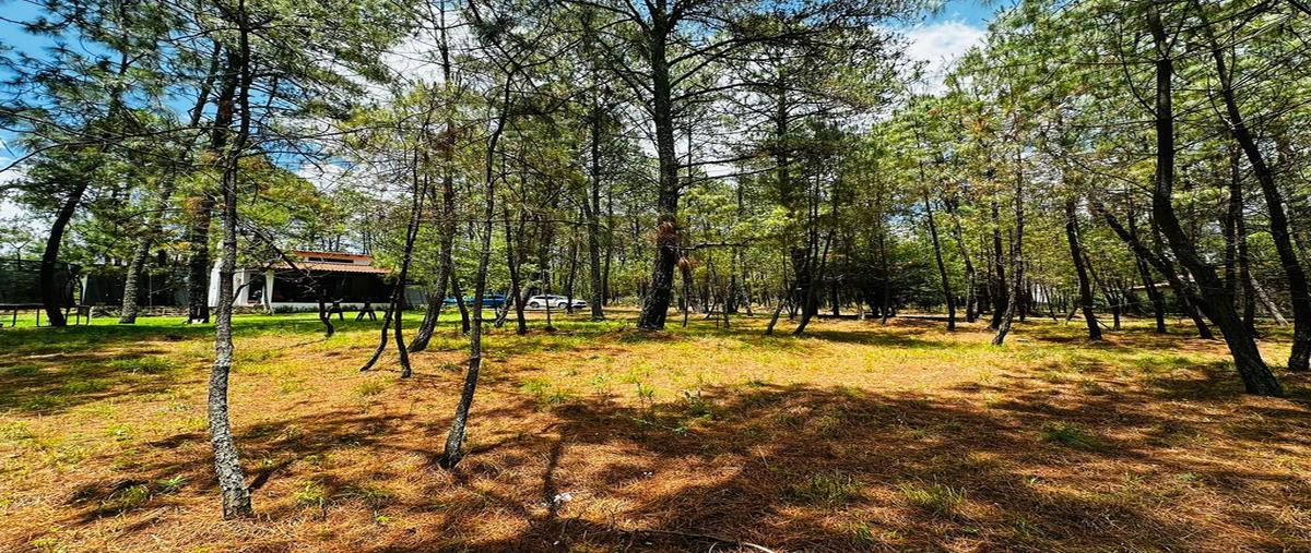 Foto de terreno habitacional en venta en coto boskania , atemajac de brizuela, atemajac de brizuela, jalisco, 28277376 No. 05