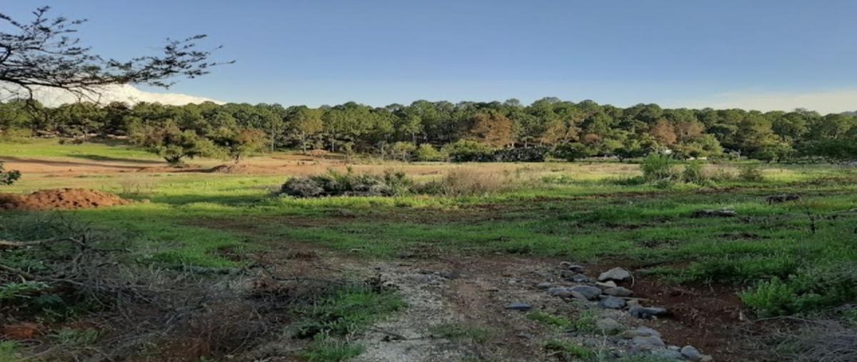 Foto de terreno habitacional en venta en coto el manto , atemajac de brizuela, atemajac de brizuela, jalisco, 28811211 No. 04