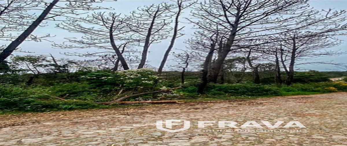 Foto de terreno habitacional en venta en coto rincon de los pastores , tapalpa, tapalpa, jalisco, 27388471 No. 03