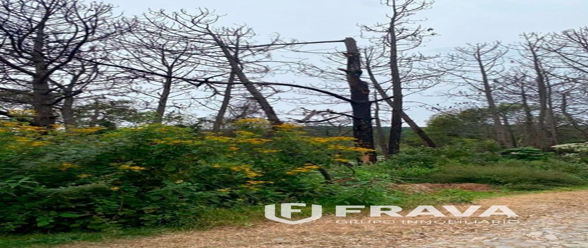 Foto de terreno habitacional en venta en coto rincon de los pastores , tapalpa, tapalpa, jalisco, 27388471 No. 05