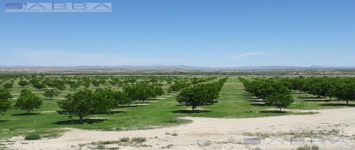 Foto de rancho en venta en  , coyame, coyame del sotol, chihuahua, 15288120 No. 05