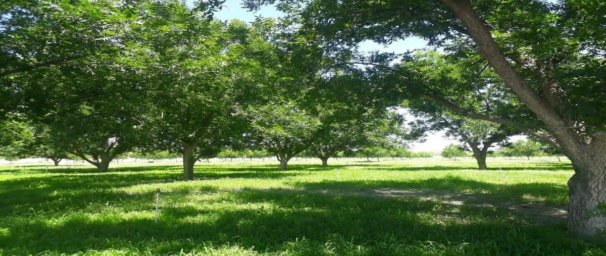 Foto de rancho en venta en  , coyame, coyame del sotol, chihuahua, 0 No. 03