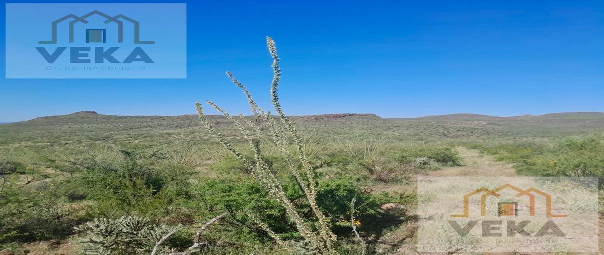 Foto de rancho en venta en  , coyame, coyame del sotol, chihuahua, 28662666 No. 03