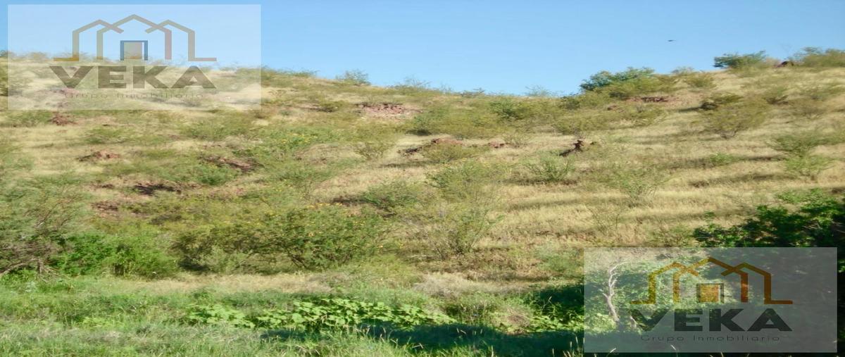 Foto de rancho en venta en  , coyame, coyame del sotol, chihuahua, 28662666 No. 04