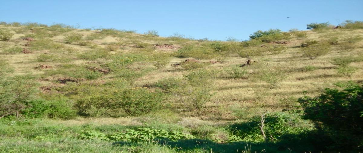 Foto de rancho en venta en  , coyame, coyame del sotol, chihuahua, 28662666 No. 04