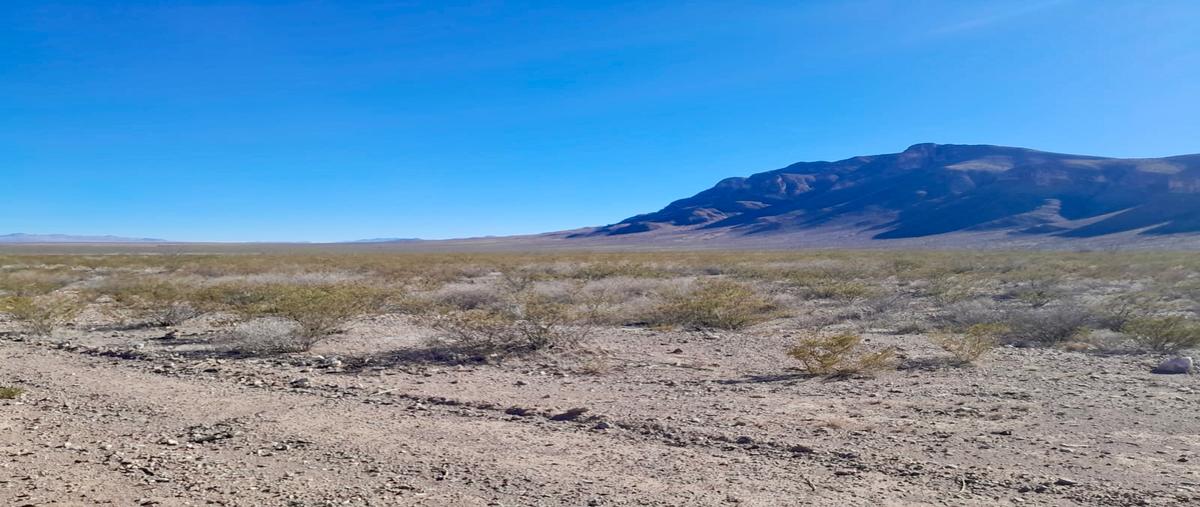 Foto de rancho en venta en  , coyame, coyame del sotol, chihuahua, 28662666 No. 05