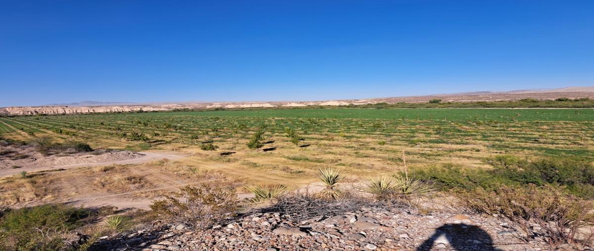 Foto de rancho en venta en  , coyame, coyame del sotol, chihuahua, 29479486 No. 03