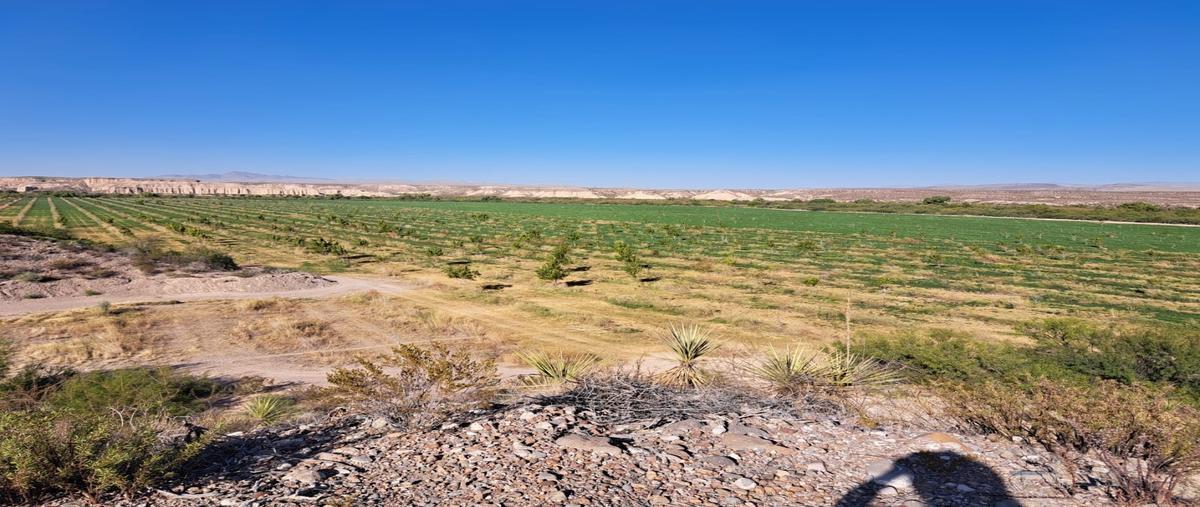 Foto de rancho en venta en  , coyame, coyame del sotol, chihuahua, 29479486 No. 04