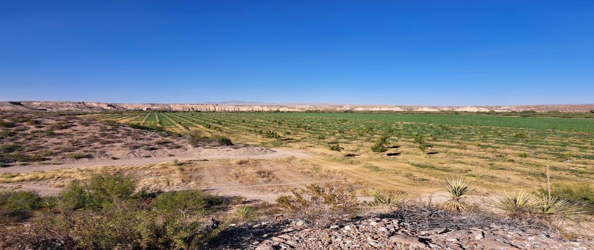 Foto de rancho en venta en  , coyame, coyame del sotol, chihuahua, 29479486 No. 05