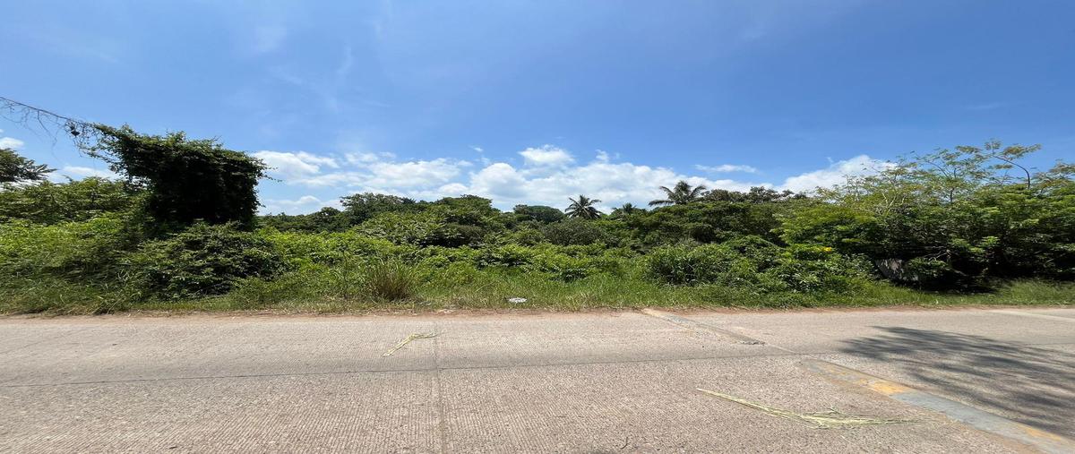 Foto de terreno habitacional en venta en  , coyolitos, tampico alto, veracruz de ignacio de la llave, 30356273 No. 04