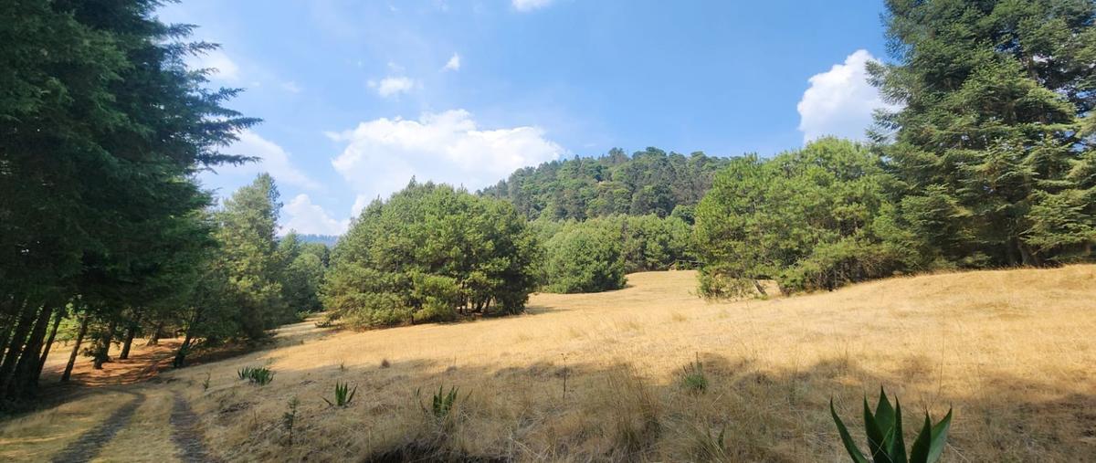 Foto de terreno habitacional en venta en  , coyoltepec, ocuilan, méxico, 28235096 No. 04