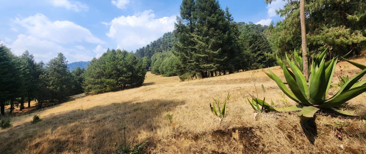 Foto de terreno habitacional en venta en  , coyoltepec, ocuilan, méxico, 28235096 No. 05