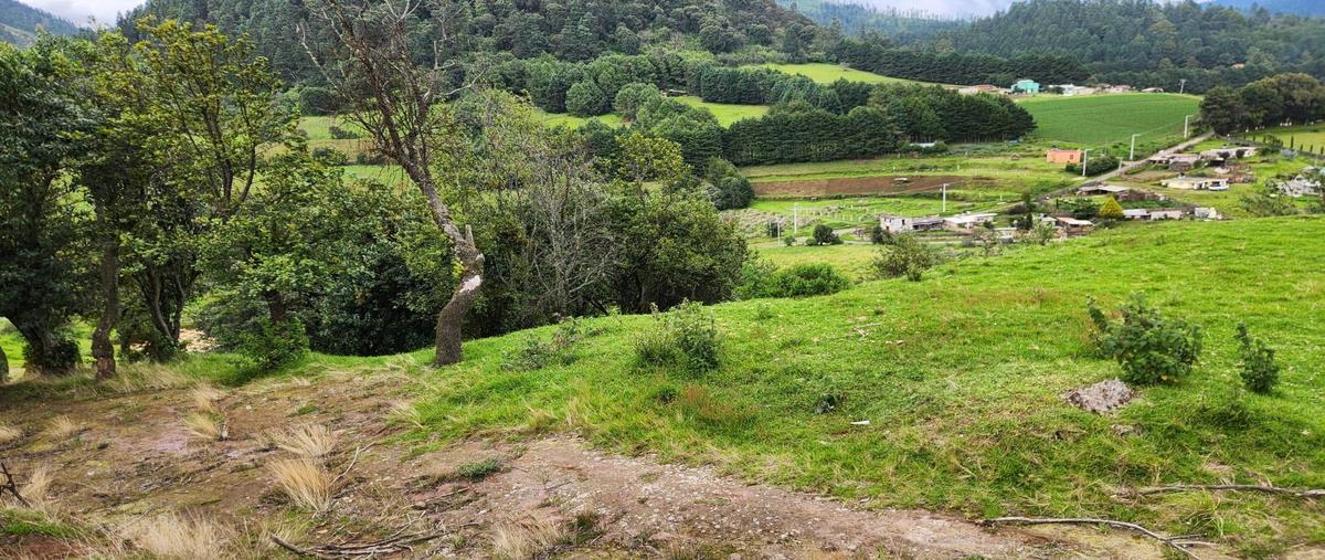 Foto de terreno habitacional en venta en  , coyoltepec, ocuilan, méxico, 30166507 No. 03