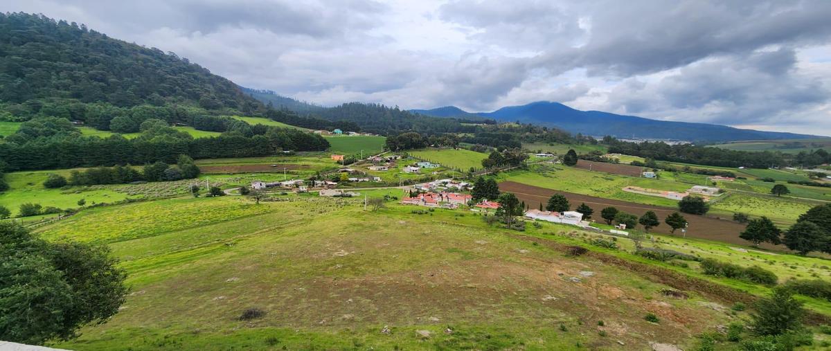 Foto de terreno habitacional en venta en  , coyoltepec, ocuilan, méxico, 30166507 No. 04
