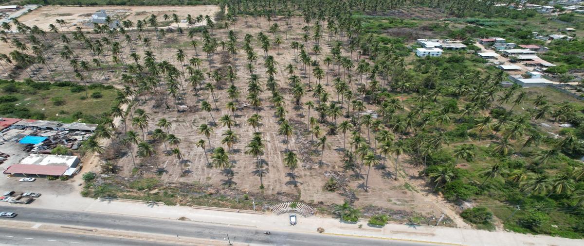 Foto de terreno habitacional en venta en  , coyuca de benítez centro, coyuca de benítez, guerrero, 25618940 No. 03