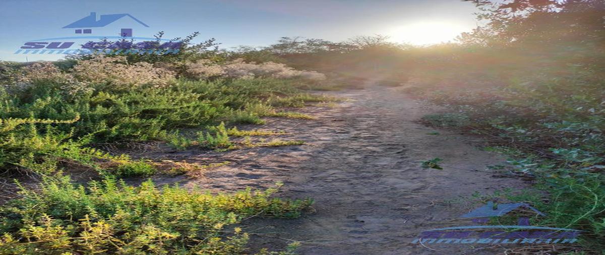 Foto de terreno habitacional en , coyuca de benítez centro, coyuca de benítez, guerrero, 26414133 foto 03 Foto de terreno habitacional en venta en , coyuca de benítez centro, coyuca de benítez, guerrero, 26414133 No. 03