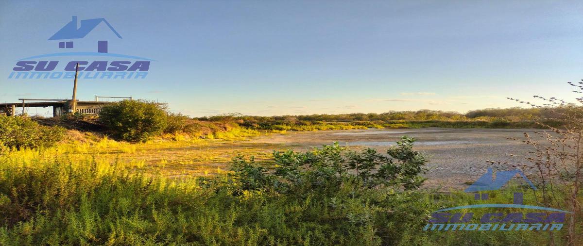 Foto de terreno habitacional en , coyuca de benítez centro, coyuca de benítez, guerrero, 26414133 foto 04 Foto de terreno habitacional en venta en , coyuca de benítez centro, coyuca de benítez, guerrero, 26414133 No. 04