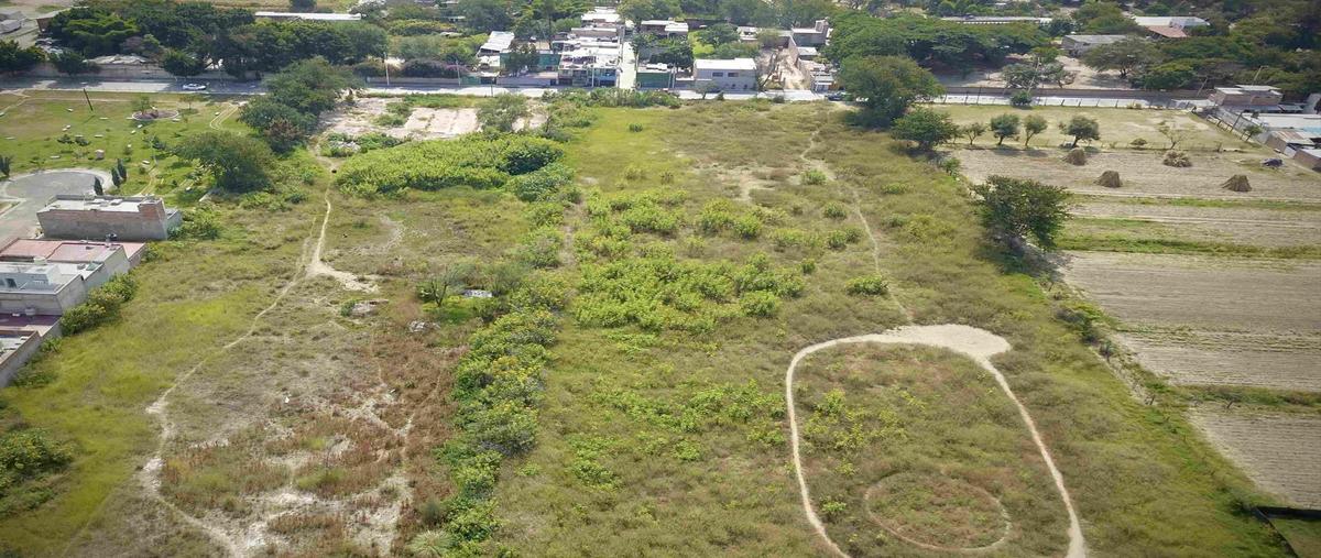 Foto de terreno habitacional en venta en  , coyula, tonalá, jalisco, 28833576 No. 04