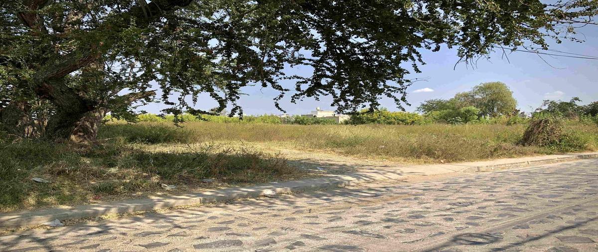 Foto de terreno habitacional en venta en  , coyula, tonalá, jalisco, 28833576 No. 05