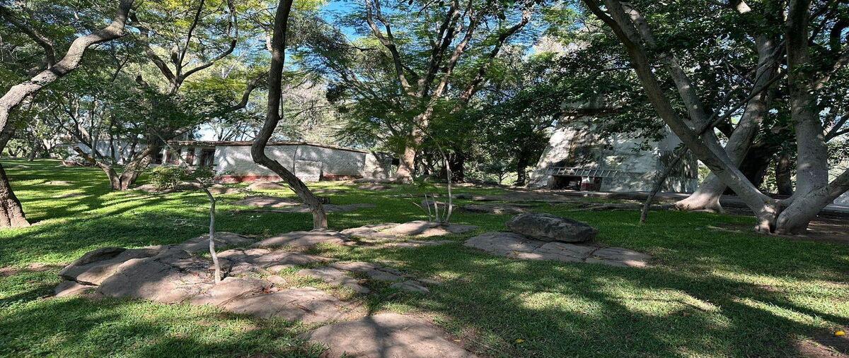 Foto de terreno habitacional en venta en  , coyula, tonalá, jalisco, 30147880 No. 03