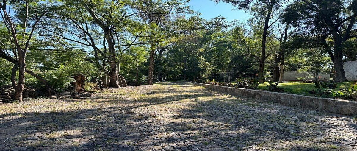 Foto de terreno habitacional en venta en  , coyula, tonalá, jalisco, 30147880 No. 05