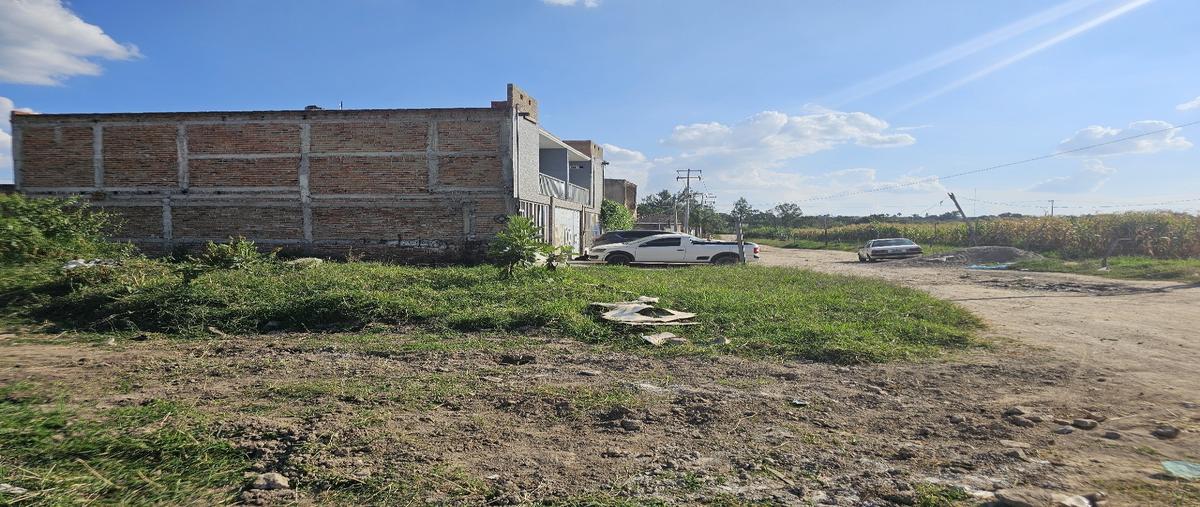 Foto de terreno habitacional en venta en coyula whi312719, coyula, tonalá, jalisco, 0 No. 05