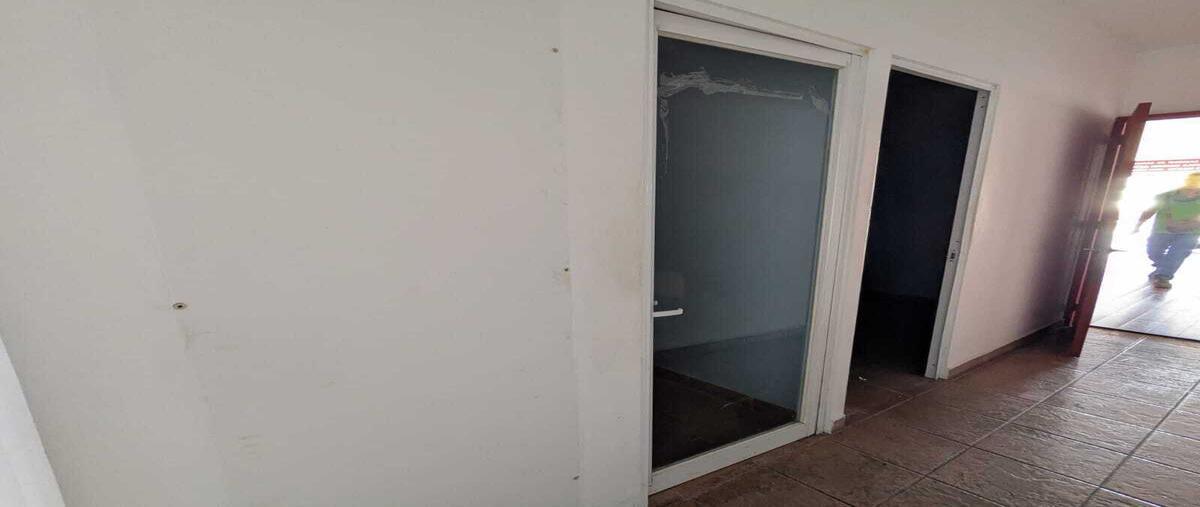 Foto de local en renta en  , cozumel centro, cozumel, quintana roo, 29867214 No. 07