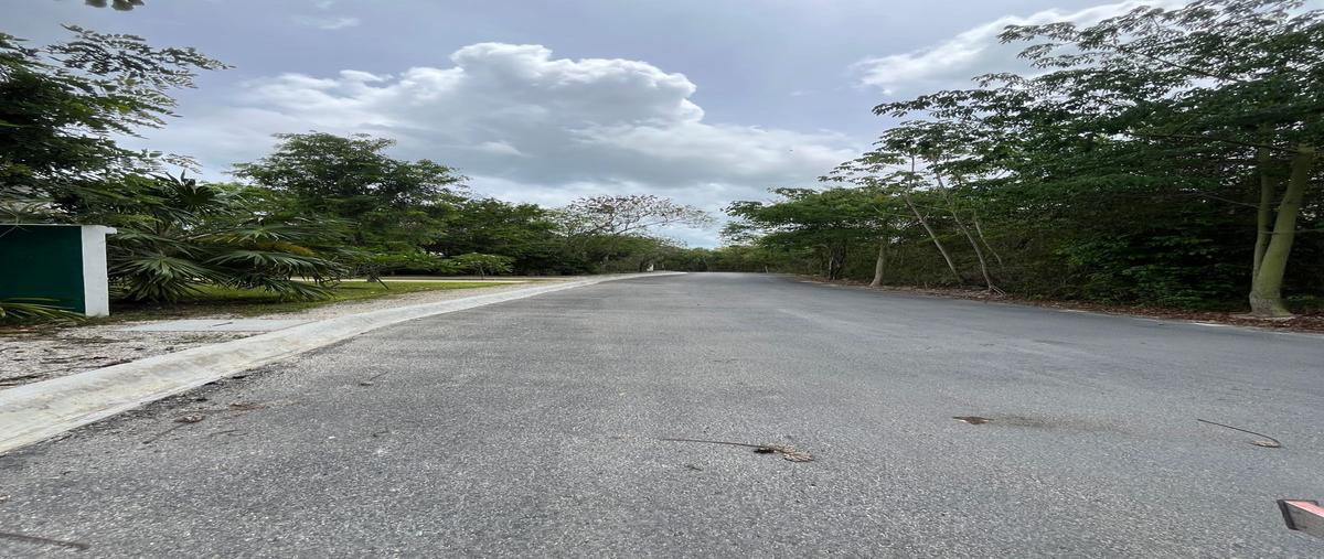 Foto de terreno habitacional en venta en cozumel , cozumel centro, cozumel, quintana roo, 29950395 No. 03