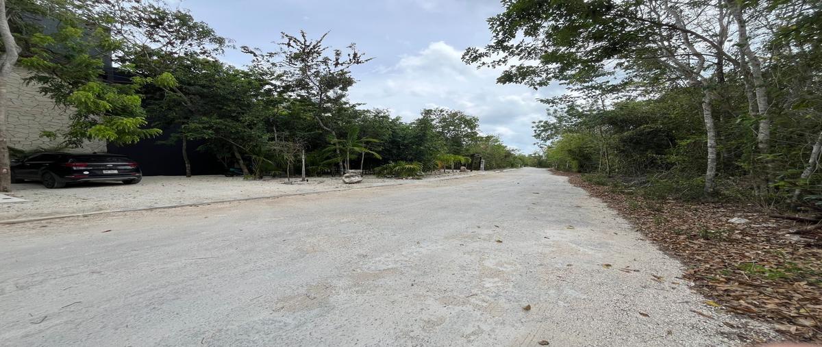 Foto de terreno habitacional en venta en cozumel , cozumel centro, cozumel, quintana roo, 29950395 No. 04