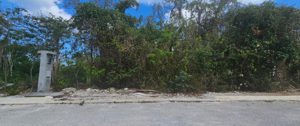 Foto de terreno habitacional en venta en cozumel , cozumel centro, cozumel, quintana roo, 29950395 No. 05