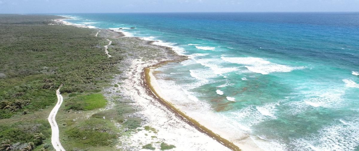 Foto de terreno habitacional en , cozumel, cozumel, quintana roo, 27261746 foto 05 Foto de terreno habitacional en venta en , cozumel, cozumel, quintana roo, 27261746 No. 05