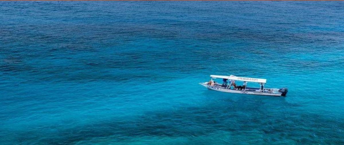 Foto de rancho en venta en  , cozumel, cozumel, quintana roo, 0 No. 03