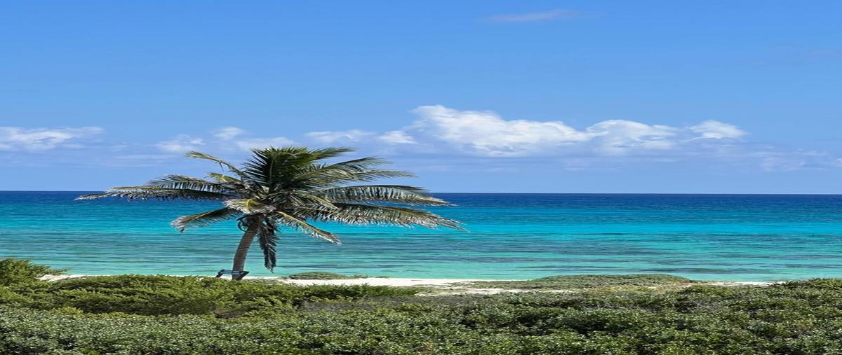 Foto de terreno habitacional en , cozumel, cozumel, quintana roo, 0 foto 01 Foto de terreno habitacional en venta en , cozumel, cozumel, quintana roo, 0 No. 01
