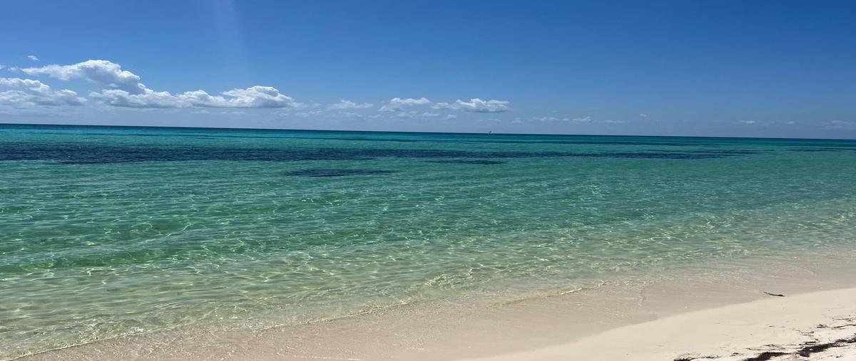 Foto de terreno habitacional en venta en  , cozumel, cozumel, quintana roo, 0 No. 03