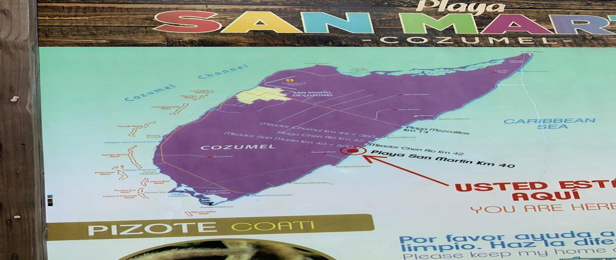 Foto de terreno habitacional en venta en  , cozumel turístico, cozumel, quintana roo, 28426919 No. 05