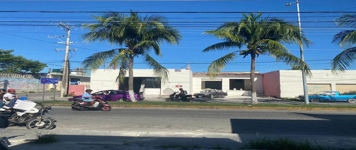 Foto de oficina en cozumel whi288799, cozumel, cozumel, quintana roo, 0 foto 04 Foto de oficina en venta en cozumel whi288799, cozumel, cozumel, quintana roo, 0 No. 04