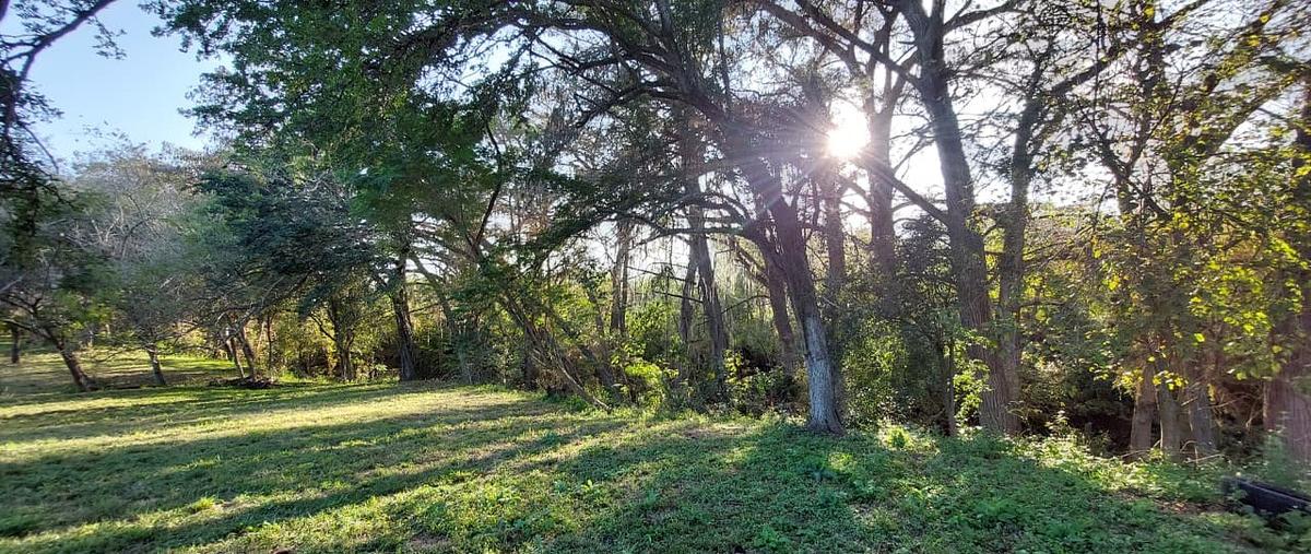 Foto de terreno habitacional en venta en crescenio marroquin , los sabinos, allende, nuevo león, 0 No. 05