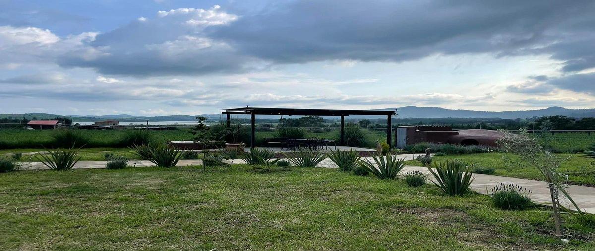 Foto de terreno comercial en venta en crisantemos , tapalpa, tapalpa, jalisco, 0 No. 05