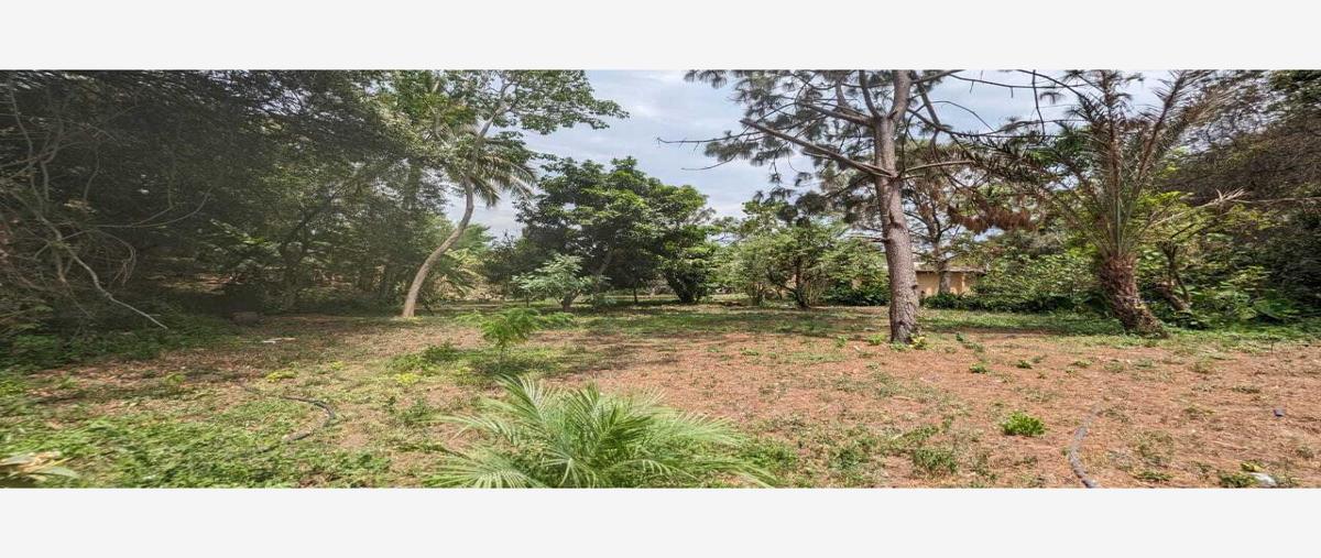 Foto de rancho en venta en cristobal colón 33, ocotillo, cuauhtémoc, colima, 29151434 No. 02