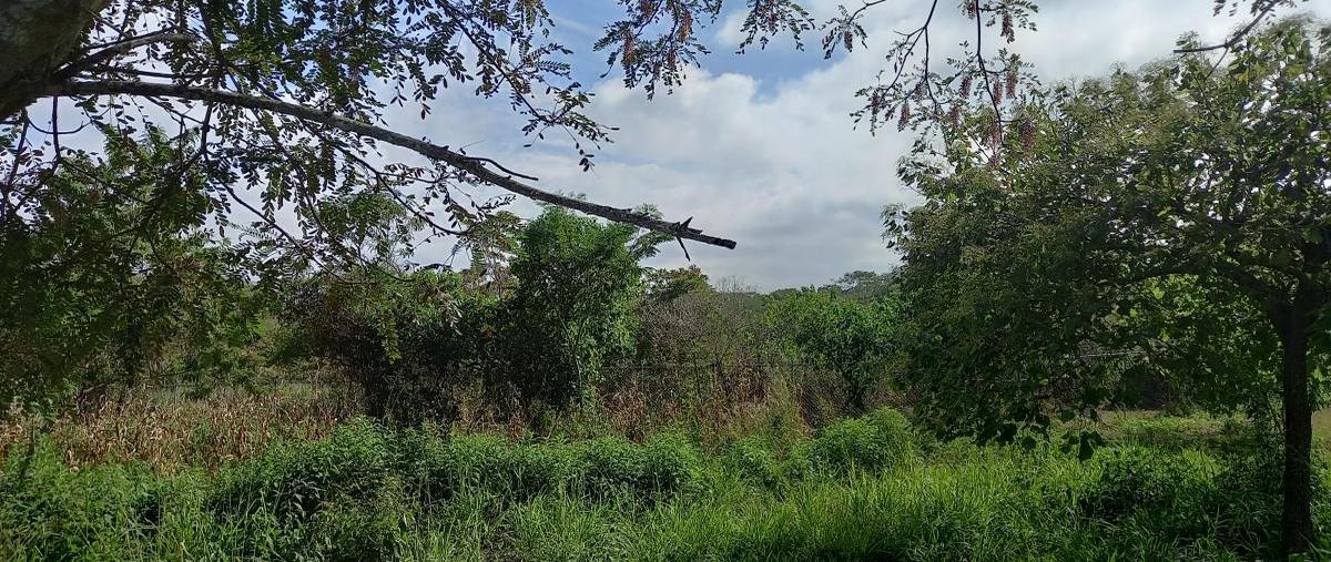 Foto de terreno industrial en crucero de la muerte , carretera internacional y l , ciudad maya, berriozábal, chiapas, 28176375 foto 05 Foto de terreno industrial en venta en crucero de la muerte , carretera internacional y l , ciudad maya, berriozábal, chiapas, 28176375 No. 05