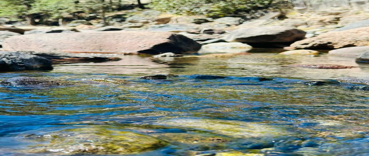 Foto de rancho en venta en  , crucero, guerrero, chihuahua, 0 No. 03