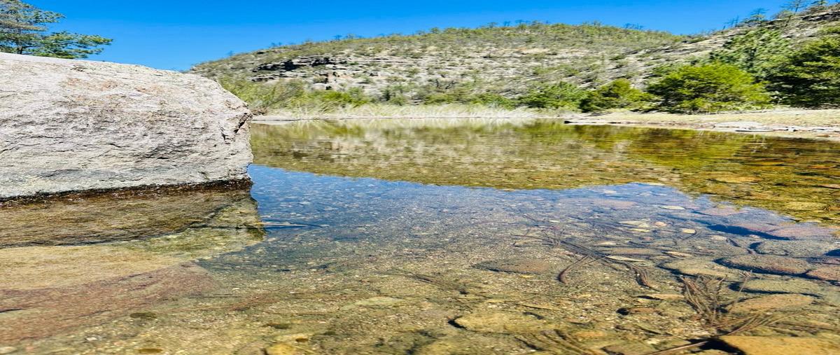 Foto de rancho en venta en  , crucero, guerrero, chihuahua, 0 No. 05