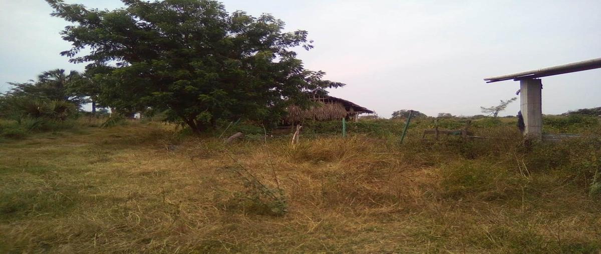 Foto de terreno habitacional en venta en  , crucero las pitas, ciudad valles, san luis potosí, 16289518 No. 04