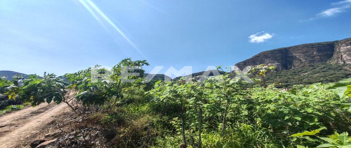 Foto de terreno habitacional en venta en cruz blanca , cruz blanca, tlayacapan, morelos, 0 No. 03