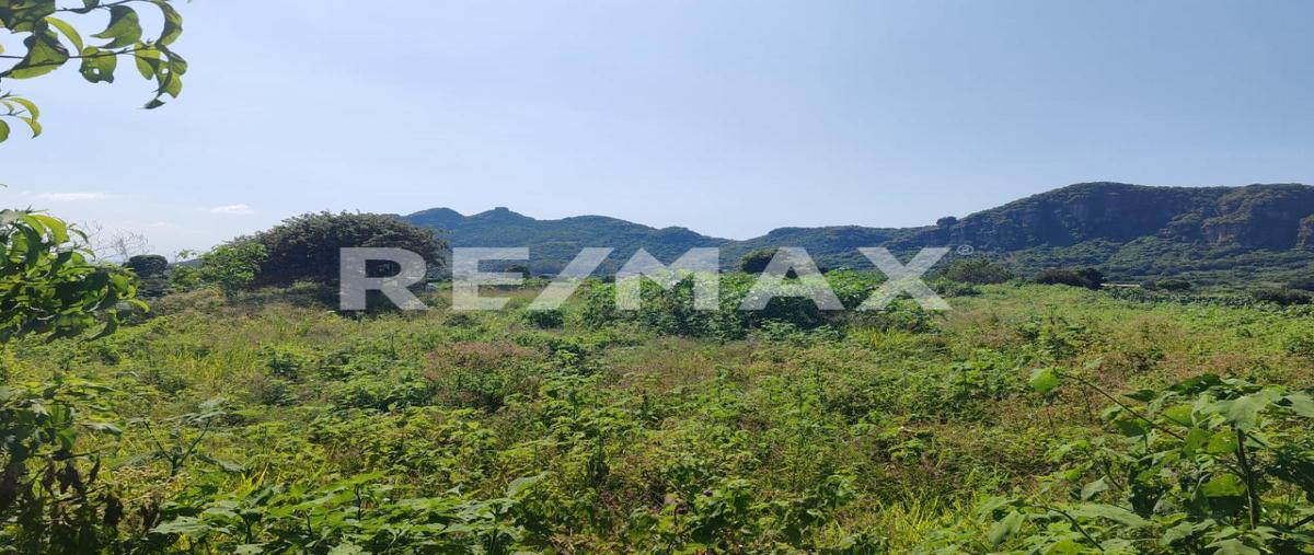 Foto de terreno habitacional en venta en cruz blanca , cruz blanca, tlayacapan, morelos, 0 No. 04