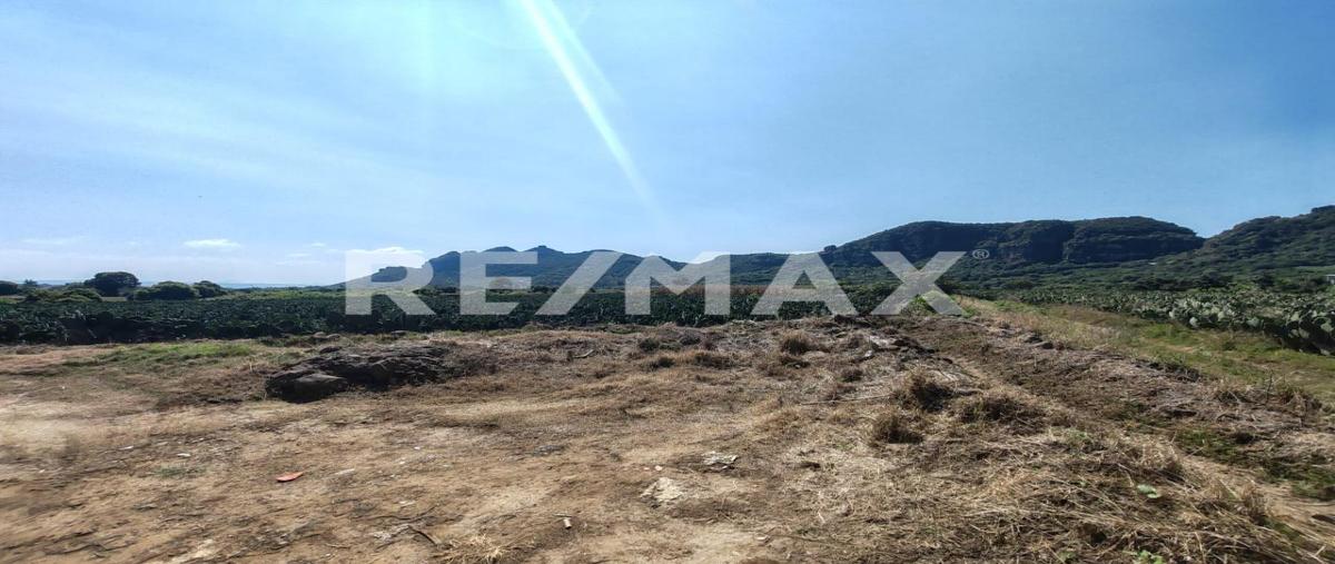 Foto de terreno habitacional en venta en cruz blanca , cruz blanca, tlayacapan, morelos, 0 No. 05