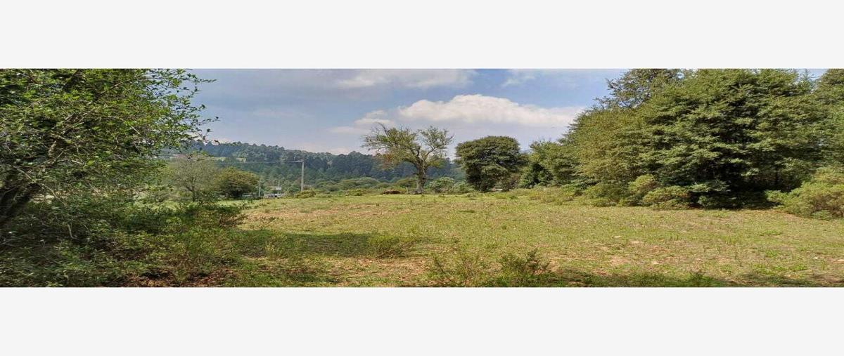 Foto de terreno habitacional en venta en cruz de mujer 1, cruz de mujer, omitlán de juárez, hidalgo, 27630280 No. 03