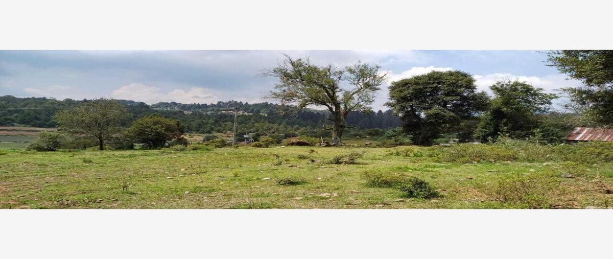 Foto de terreno habitacional en venta en cruz de mujer 1, cruz de mujer, omitlán de juárez, hidalgo, 27630280 No. 05