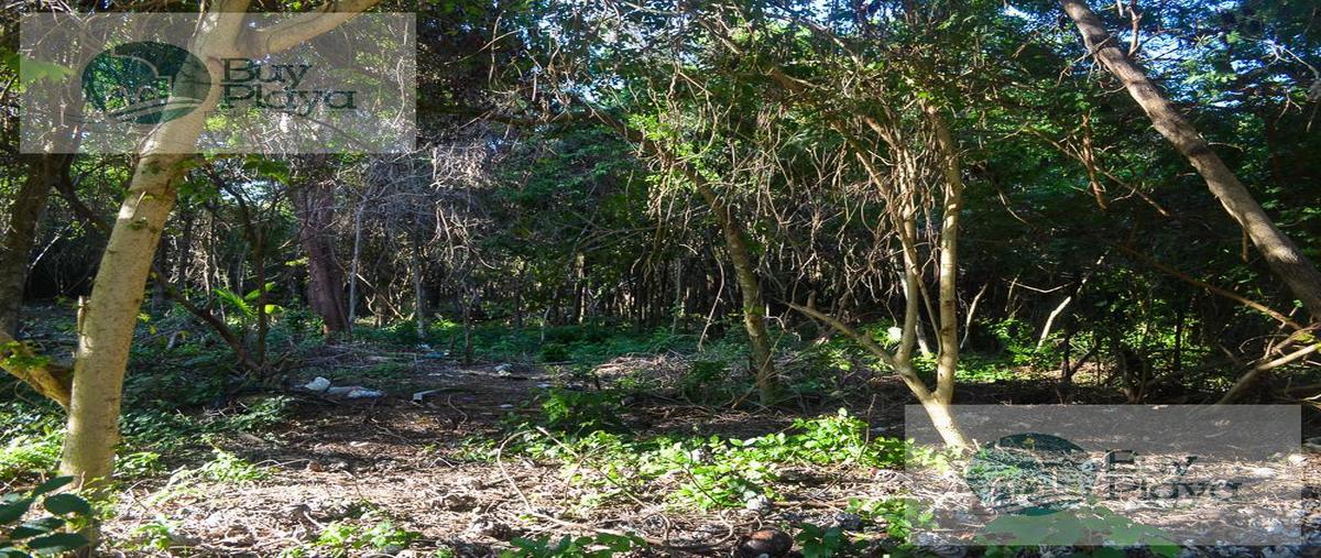Foto de terreno habitacional en venta en  , cruz de servicios, solidaridad, quintana roo, 29888222 No. 03